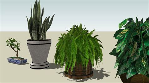 Sketchup Components 3D Warehouse - Indoor Plants