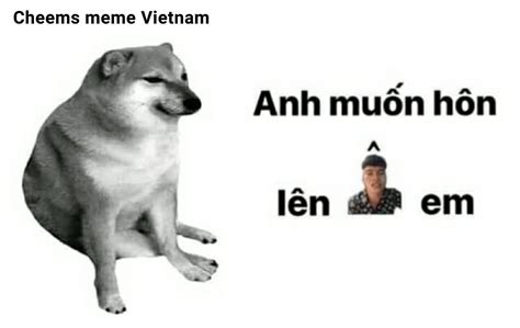 111+ Hình Ảnh Meme Cheems Troll Bựa Khiến Bạn Cười Lăn Cười Bò