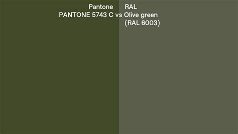 Pantone 5743 C vs RAL Olive green (RAL 6003) side by side comparison