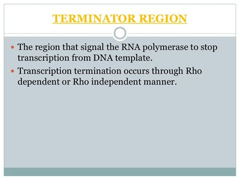 The structure & function of genes