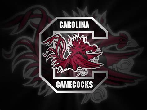 Usc Gamecocks Wallpaper