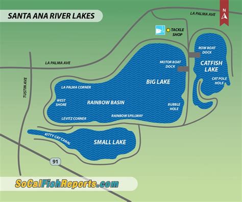 Santa Ana River Lakes Fishing Spots - Unique Fish Photo