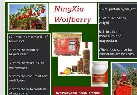 Wolfberry | Goji berries, Raw diet, Whole food recipes