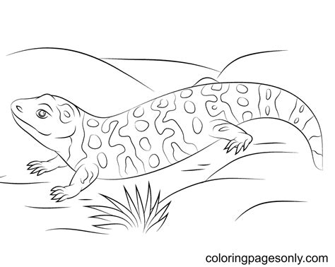 Cute Gila Monster Coloring Page - Free Printable Coloring Pages