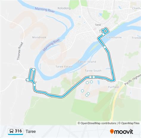 316 Route: Schedules, Stops & Maps - Taree (Updated)