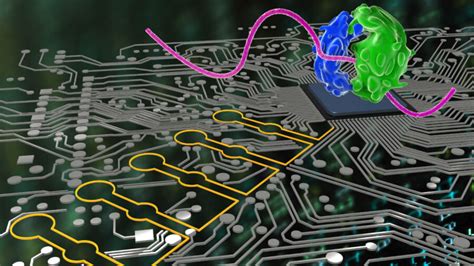 Biocomputers Made From Cells Can Now Handle More Complex Logic