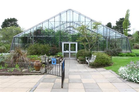 Dundee Botanic Gardens: A treat for gardeners the world over - SeeDundee