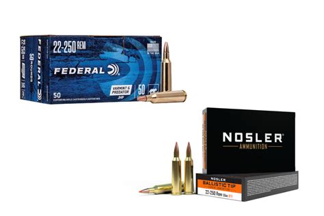 22-250 Ammo: The Best Choices for Factory Loads