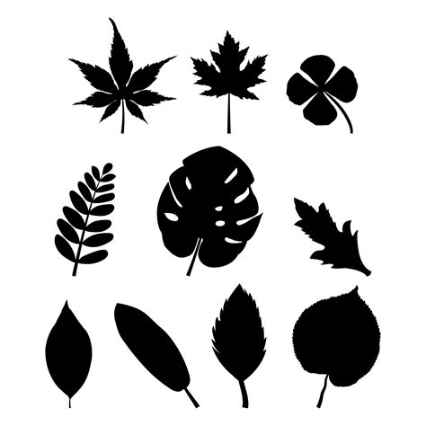 Black Leaf Silhouettes 1252123 Vector Art at Vecteezy