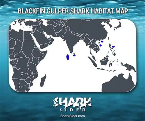 Blackfin Gulper Shark – Facts, Size, Behavior, Diet, Pictures