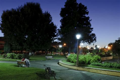 Free Images : tree, night, lawn, city, cityscape, downtown, dusk ...