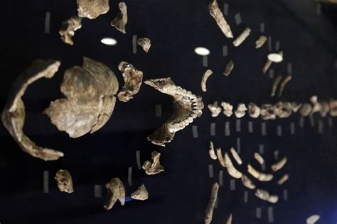 Critics Question Homo Naledi Fossil Find in South Africa - NBC News