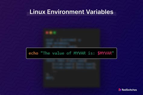 How To Set Linux Environment Variables