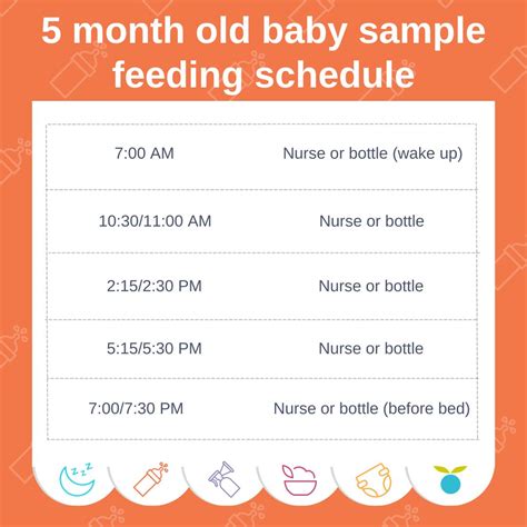 5 month old baby feeding schedule: How much should a 5 month old eat ...