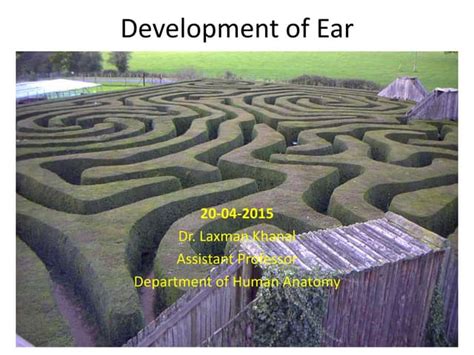 Development of Ear | PPT