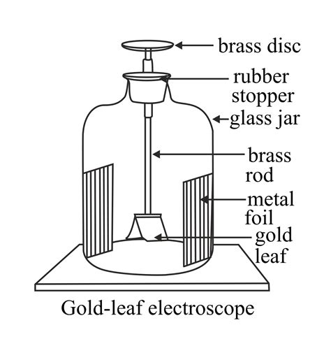 Functions Of Parts Of A Gold Leaf Electroscope - Infoupdate.org