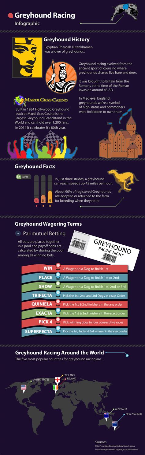 This Infographic shows the History of Greyhound racing. Greyhound ...