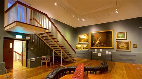 Derby Museum and Art Gallery Tours - Book Now | Expedia