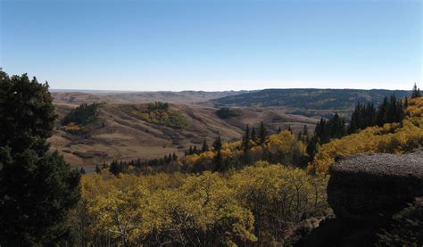 Cypress Hills | National Park, Saskatchewan, Alberta | Britannica