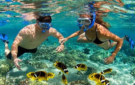 Blue Lagoon Snorkeling | Bali Sun Tours