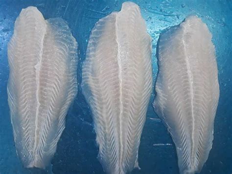 Frozen Pangasius Fillet Whole Sale | Origin Vietnam