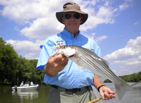 Rock Fish Fishing on the Roanoke River in NC near Big Mill B&B