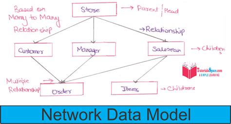 Network Database Model In Database Management System In HINDI | What Is ...