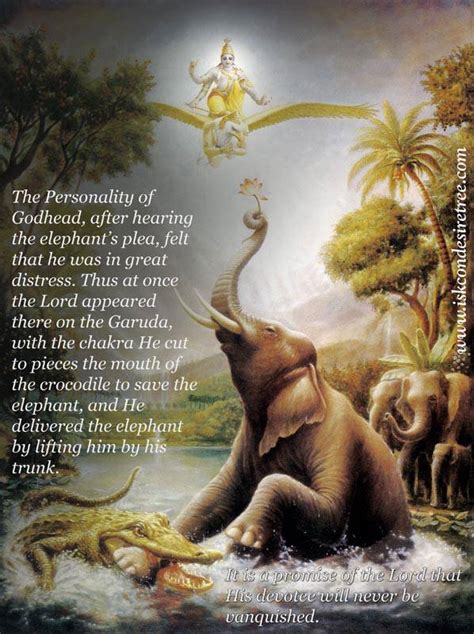 The Lord Delivering The Elephant | Spiritual Quotes By ISKCON Desire Tree