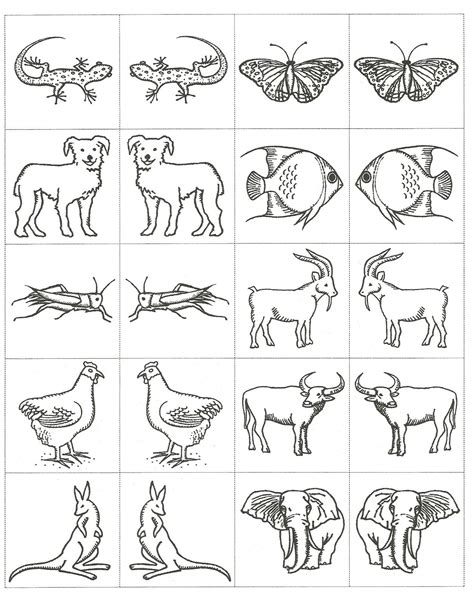 Noah's Ark Animals Printables - Printable Word Searches