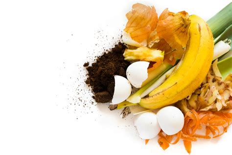 How Long Does It Take to Compost? (Tips for Faster)