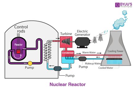 Nuclear Fusion Reactor Diagram