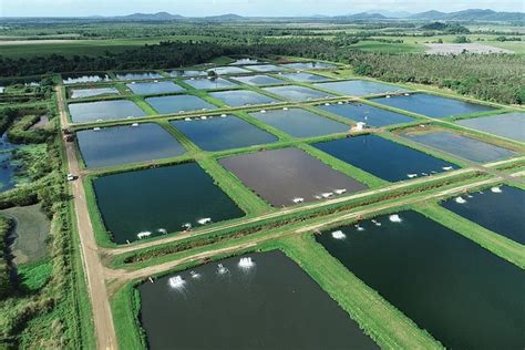 Home - MainStream Aquaculture