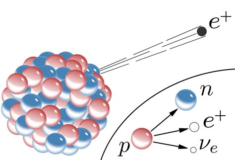 Difference Between Positron Emission and Electron Capture | Definition ...