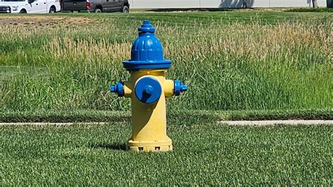 Colors Of Fire Hydrants Meaning - Infoupdate.org