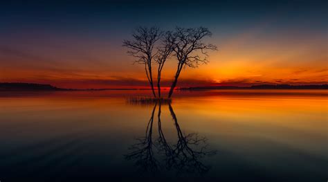 Horizon Lake Nature Reflection Sunset Tree, HD Nature, 4k Wallpapers ...