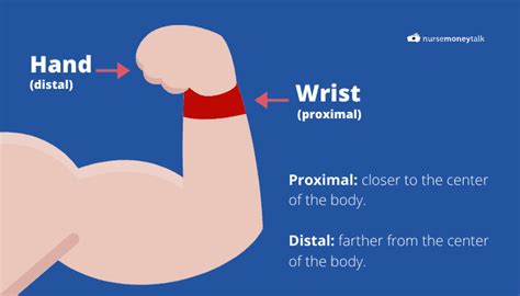 Proximal vs Distal (Examples, Diagram) - Nurse Money Talk