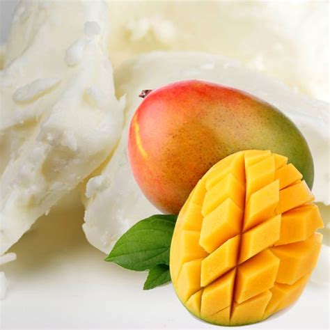 Mango Butter 100% Pure Mango Butter Manufacture Wholesale Supplier