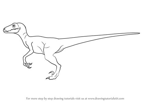 Learn How to Draw a Velociraptor (Dinosaurs) Step by Step : Drawing ...