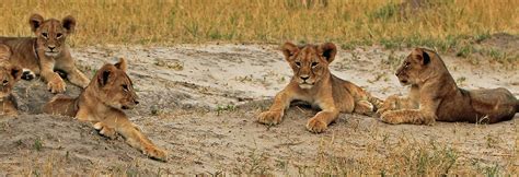 Hwange National Park - Heroes Of Adventure