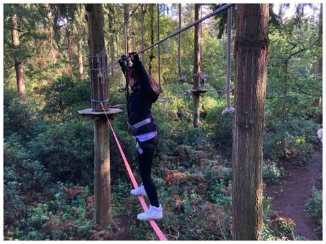 High Ropes Climbing & Zip Lining at Go Ape Thetford Forest - England ...