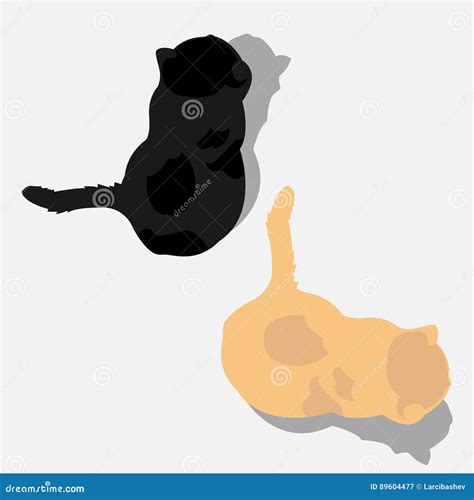 Two cats top view isolated stock vector. Illustration of contour - 89604477