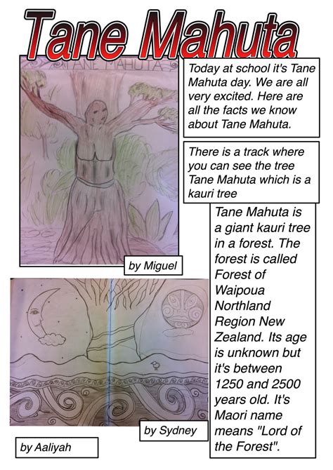 Tamariki Akoranga 17: Tane Mahuta and Matariki