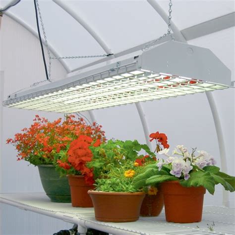 Greenhouse Lights - Gorgeous Greenhouses