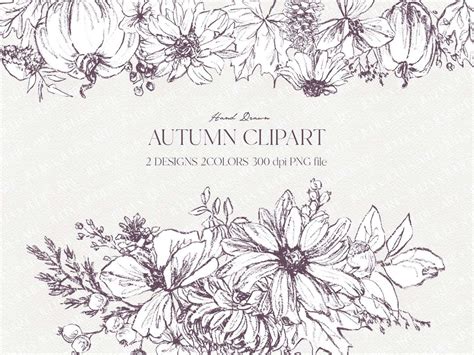 Botanical Fall Line Art, Floral Line Art, Autumn Clipart, Botanical ...