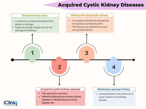 What Are Cystic Kidney Diseases?