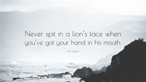 A.G. Gaston Quote: “Never spit in a lion’s face when you’ve got your ...