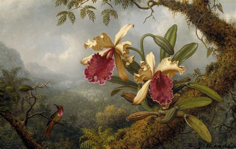 Artist Martin Johnson Heade remembered as a genius - UGA Today