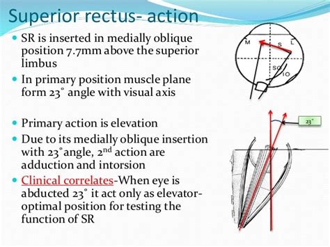 Eom ppt