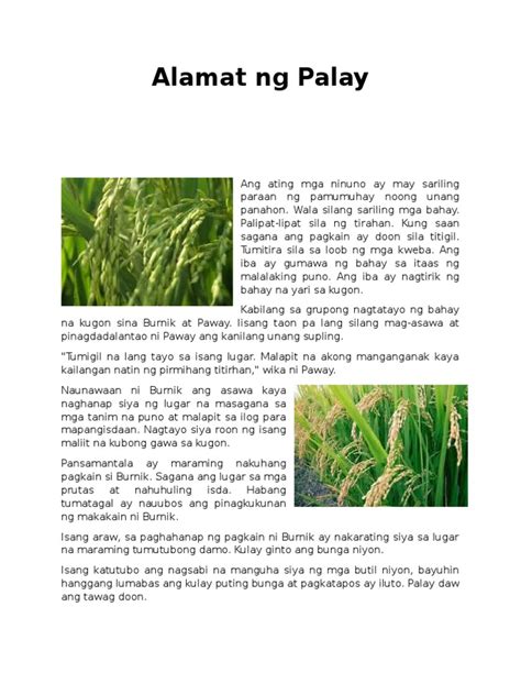 Alamat NG Palay | PDF