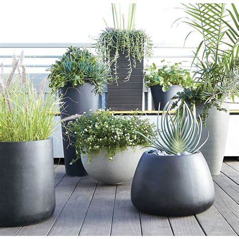 Review Of Best Large Plants For Outdoor Planters References